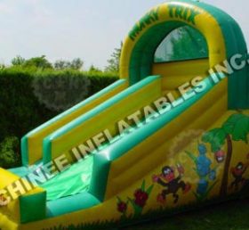T8-587 Yellow And Green Inflatable Dry S...
