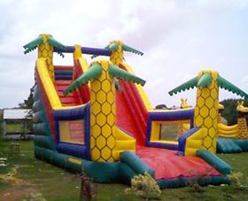 T8-728 Outdoor Inflatable Giant Dry Slid...
